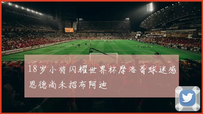 18岁小将闪耀世界杯摩洛哥球迷感恩德尚未招布阿迪