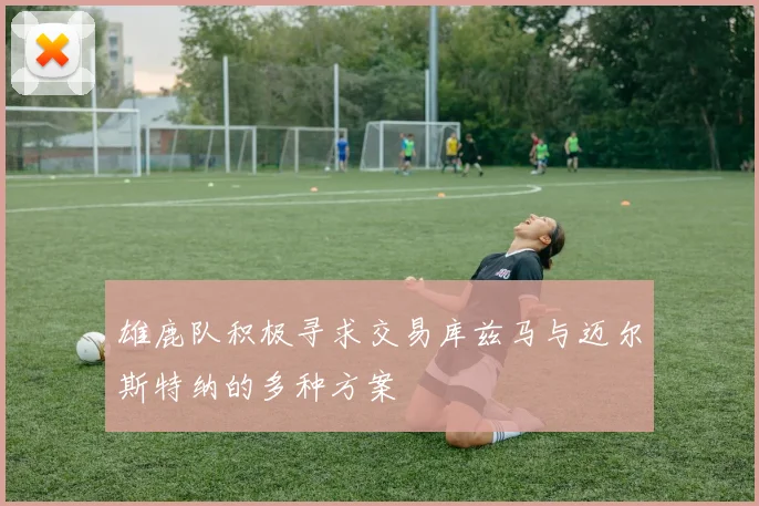 雄鹿队积极寻求交易库兹马与迈尔斯特纳的多种方案