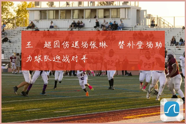 王燊超因伤退场张琳芃替补登场助力球队迎战对手