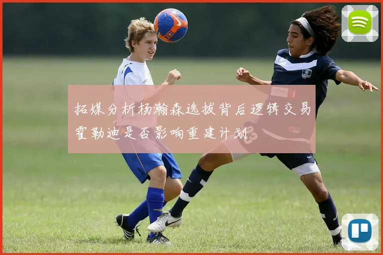 拓媒分析杨瀚森选拔背后逻辑交易霍勒迪是否影响重建计划